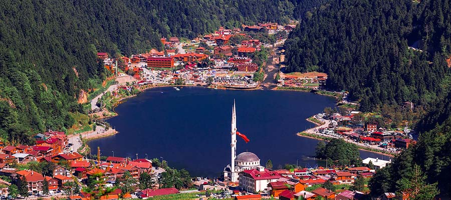 里泽(Rize)海运空运回国(进口)/出口清关货代
