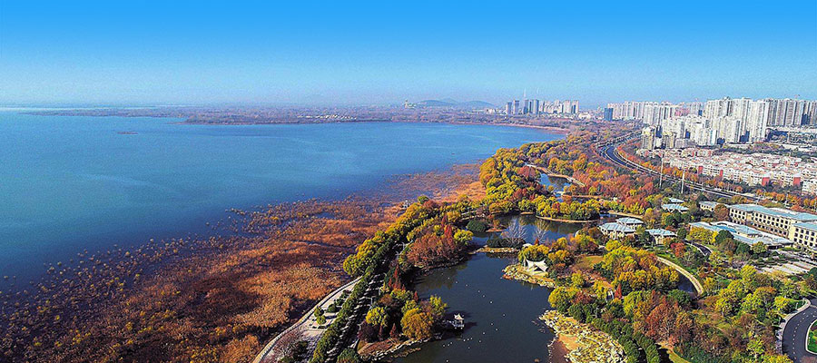 平顶山(Pingdingshan)海运进出口清关货代