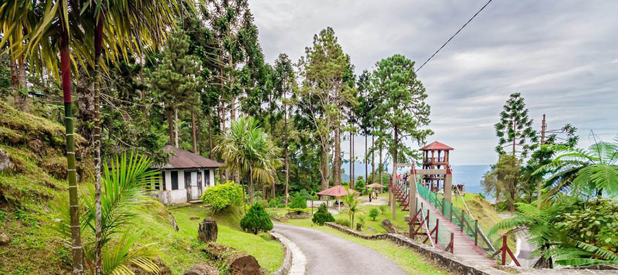 太平(Taiping)海运空运回国(进口)/出口清关货代